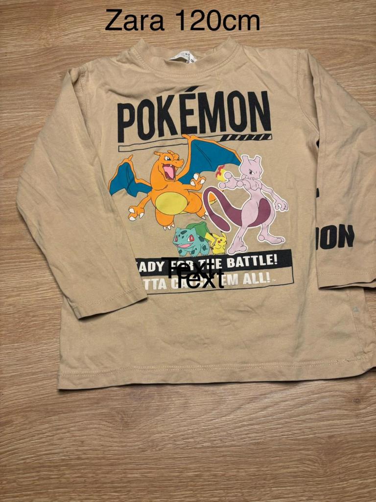Zara Pokemon 120