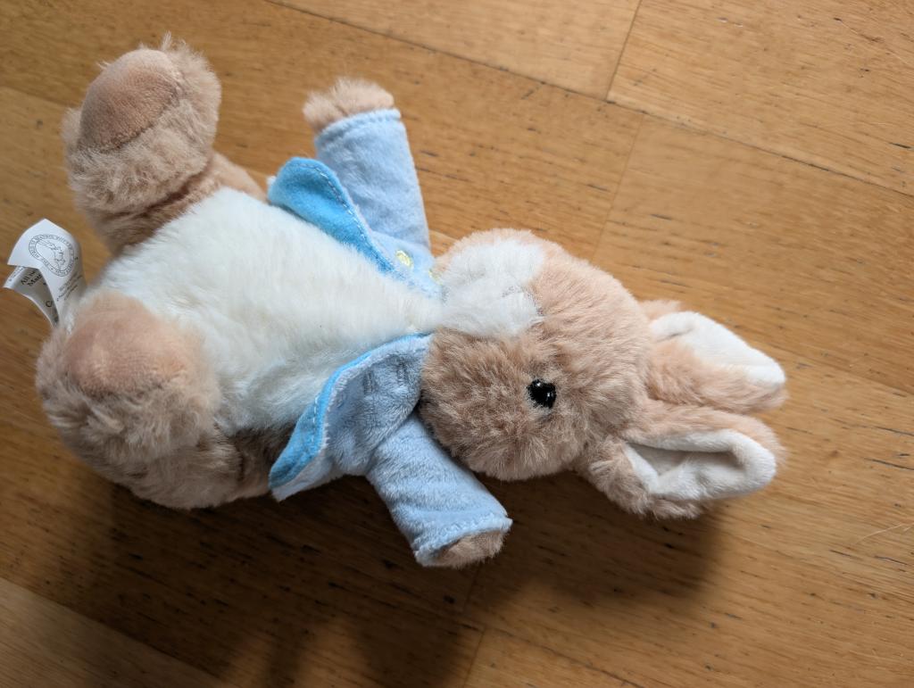 Peter rabbit bangsi