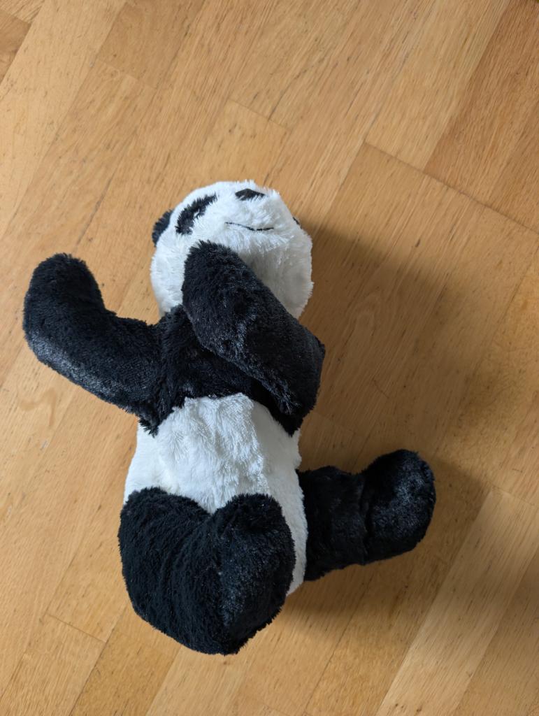 Panda bangsi
