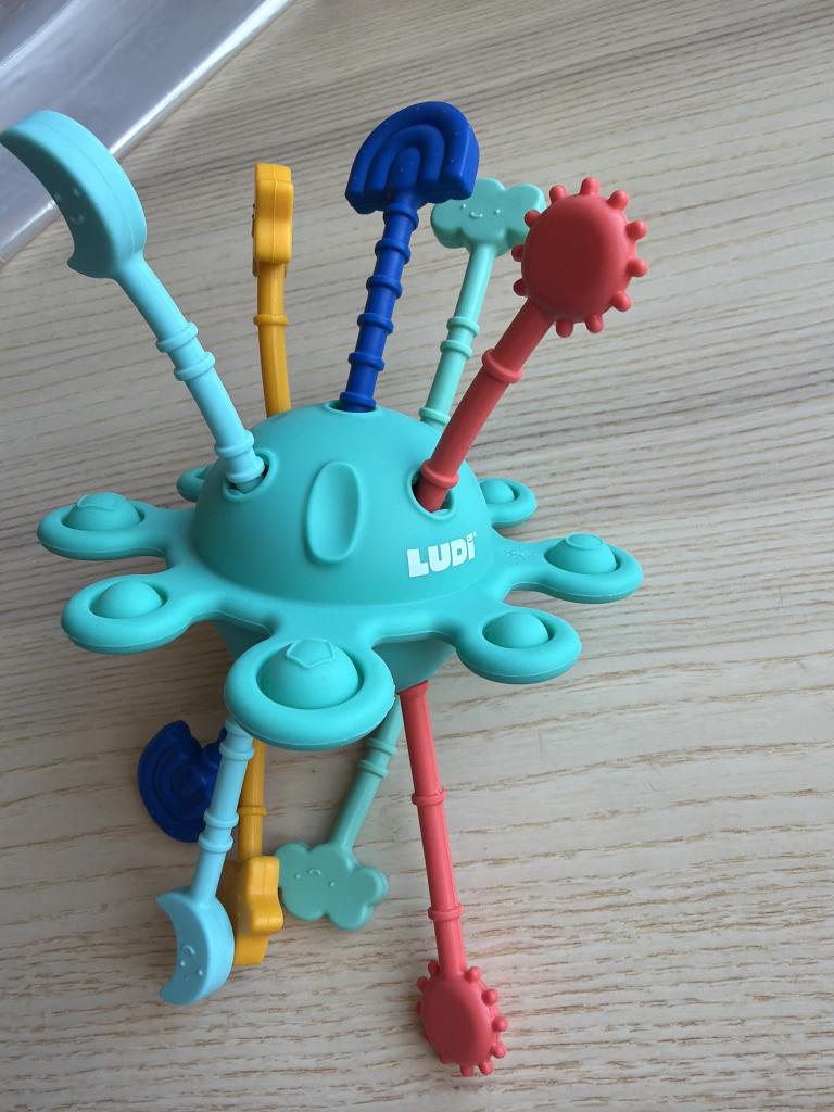 Ludi þroskaleikfang