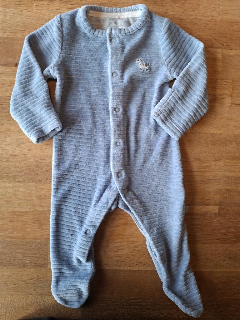 Náttgalli blár zebra st.56
