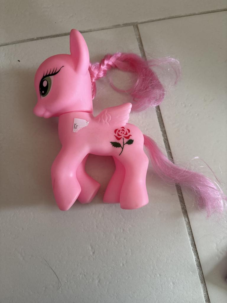 Pony